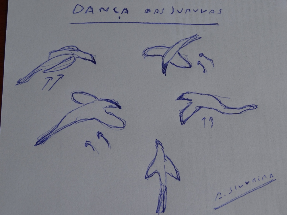 Danças da Juuva-PNItatiaia-5-2003-desenho ASilveira